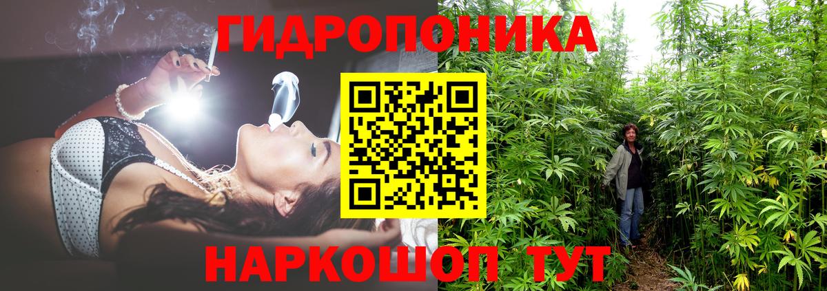Бошки марихуана VHQ  Каннабис планчик  Канабис индика  Камень-на-Оби  Вход с VPN 